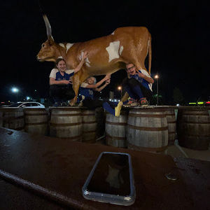 Meet your Posher, Games